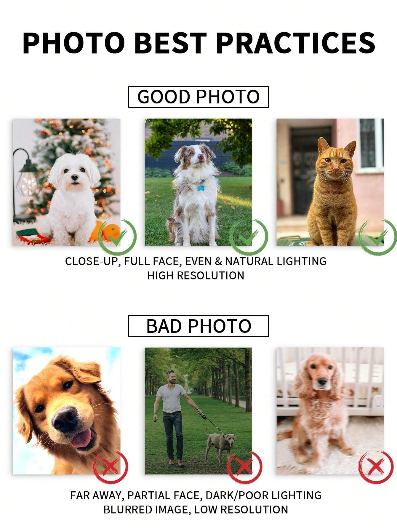 กรอบรูปภาพสัตว์เลี้ยงที่วาดด้ว - Pet Portrait Custom บทวิจารณ์และราคา